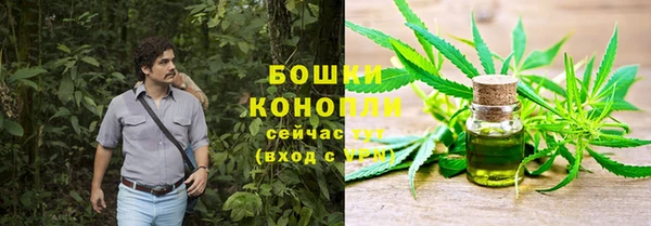 apvp Аркадак