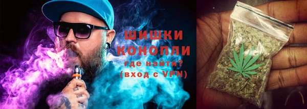 apvp Аркадак